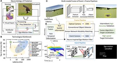 Bio-mimetic high-speed target localization with fused frame and event vision for edge application